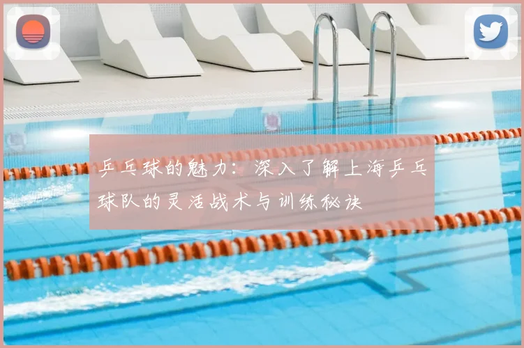 乒乓球的魅力：深入了解上海乒乓球队的灵活战术与训练秘诀