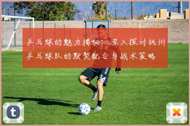 乒乓球的魅力揭秘：深入探讨杭州乒乓球队的默契配合与战术策略