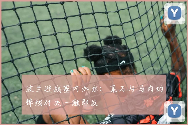 波兰迎战塞内加尔：莱万与马内的锋线对决一触即发
