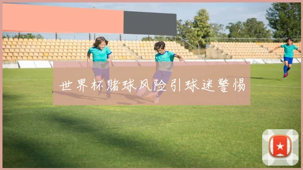 世界杯赌球风险引球迷警惕