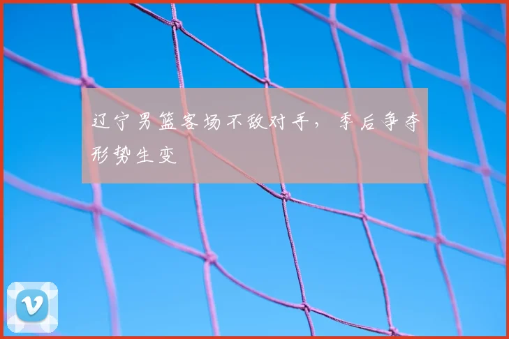 辽宁男篮客场不敌对手，季后争夺形势生变