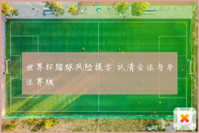 世界杯赌球风险提示 认清合法与非法界线