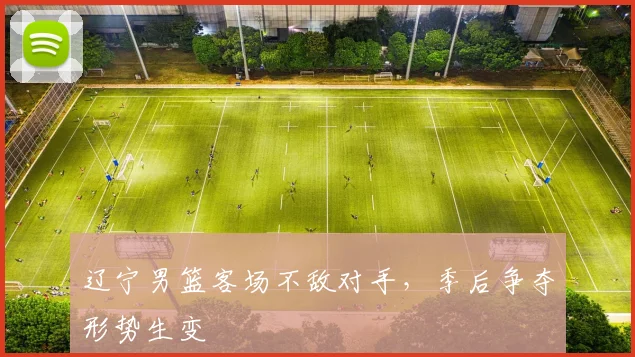 辽宁男篮客场不敌对手，季后争夺形势生变