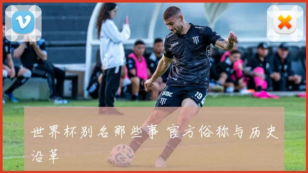 世界杯别名那些事 官方俗称与历史沿革