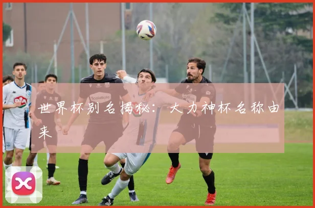世界杯别名揭秘：大力神杯名称由来
